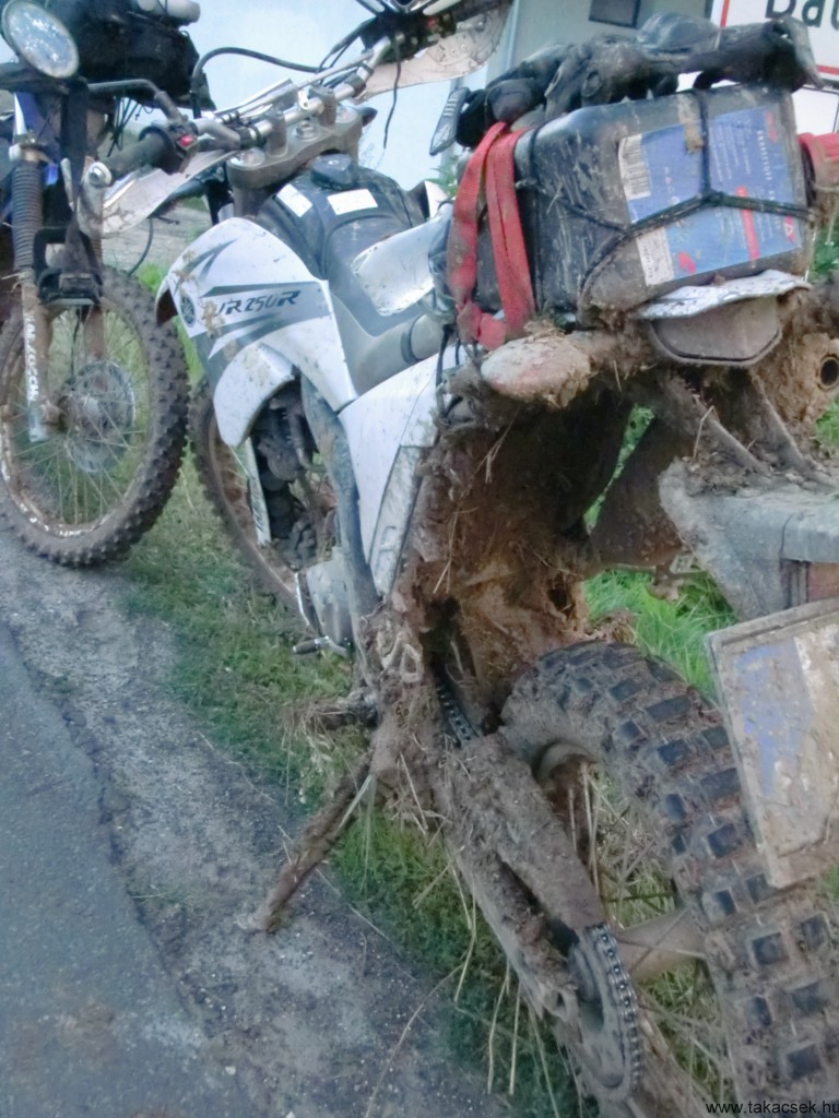Kép